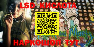 шишки Коммунар