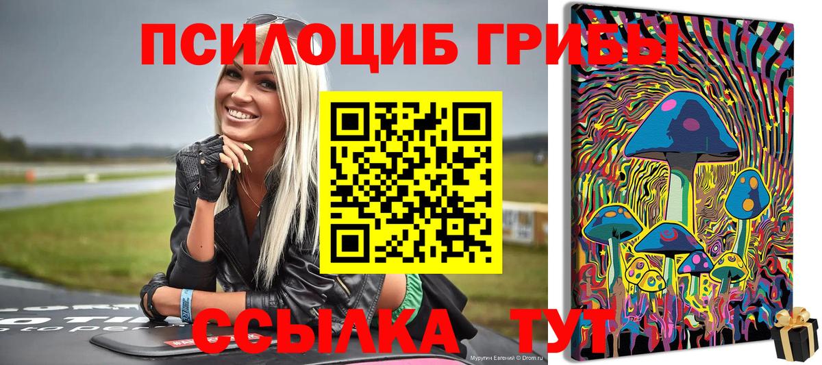 Галлюциногенные грибы мицелий Котельники