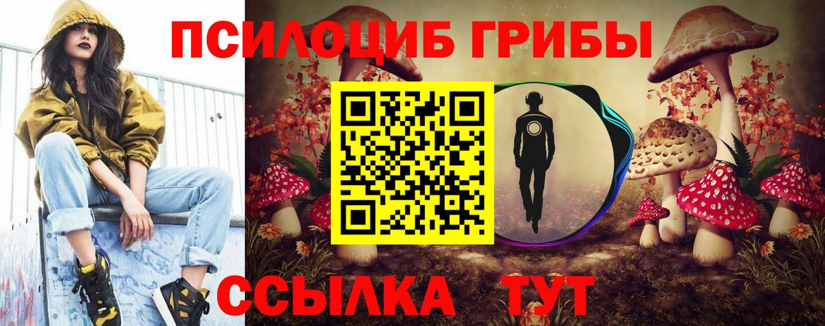 Галлюциногенные грибы MAGIC MUSHROOMS  Галлюциногенные грибы Psilocybine cubensis  Котельники  Вход с VPN 